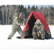 Палатка для зимней рыбалки Canadian Camper Alaska 1 Pro. Фото 3