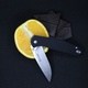 Нож складной Ganzo G6804 черный. Фото 8