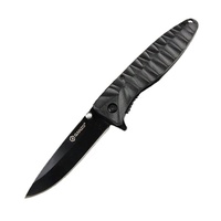 Нож складной Ganzo G620 (с чехлом) черный