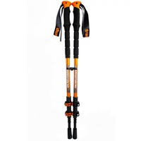 Палки треккинговые Tramp Expedition 140