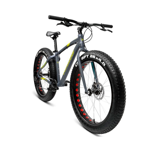 Велосипед Forward Bizon (2018) Серый матовый