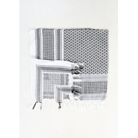 Арафатка (Шемаг) Сплав солончак