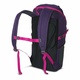 Рюкзак Trimm Pulse 20 фиолетовый. Фото 2