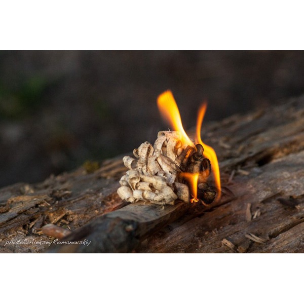 Нож Ganzo G8012 зеленый