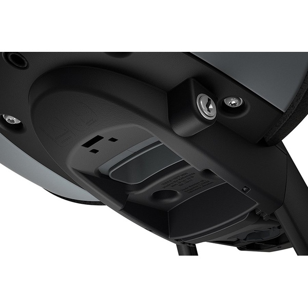 Детское велокресло Thule Yepp Nexxt Mini Momentum
