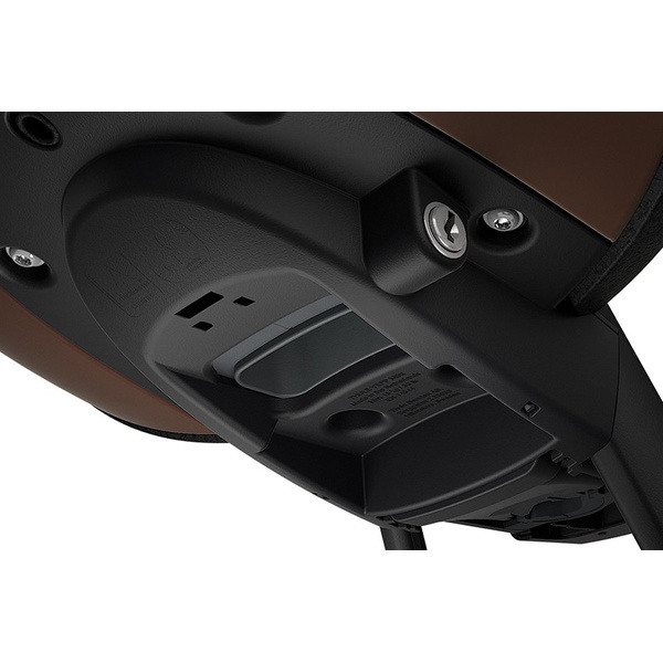 Детское велокресло Thule Yepp Nexxt Mini Brown