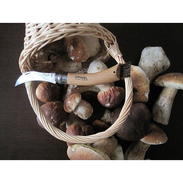 Нож грибника Opinel №8, нержавеющая сталь, рукоять бук, дисплей набор 12 шт