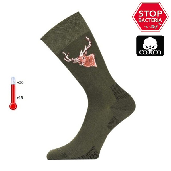 Термоноски Lasting LFSJ 620