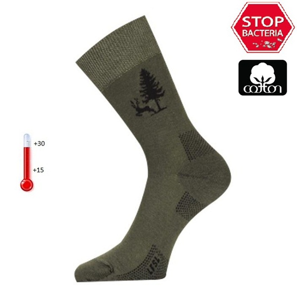 Термоноски Lasting LFSL 620