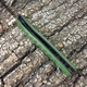 Нож Firebird F620 зелёный. Фото 4