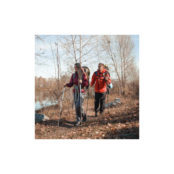 Палки треккинговые Тонар YJQT-32-2-Blue (60 - 135 см) синий