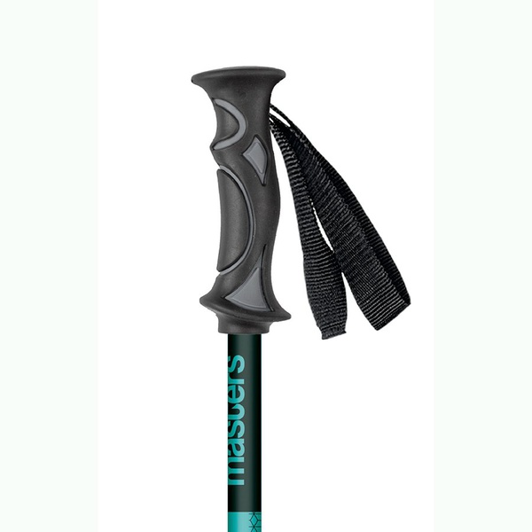 Палки треккинговые Masters Ranger Blue