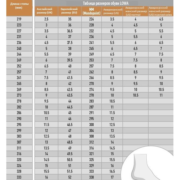 Ботинки Lowa Z-6S GTX dark brown