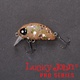 Воблер Lucky John Pro Series Haira Tiny Shallow Pilot F 3,3 см 505. Фото 3