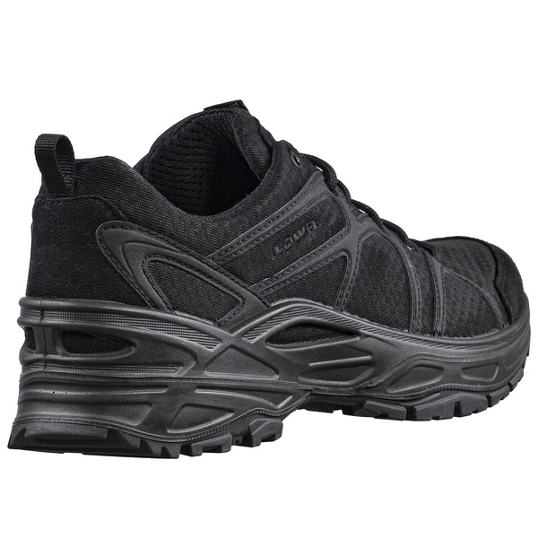 Ботинки Lowa Innox Lo TF GTX black