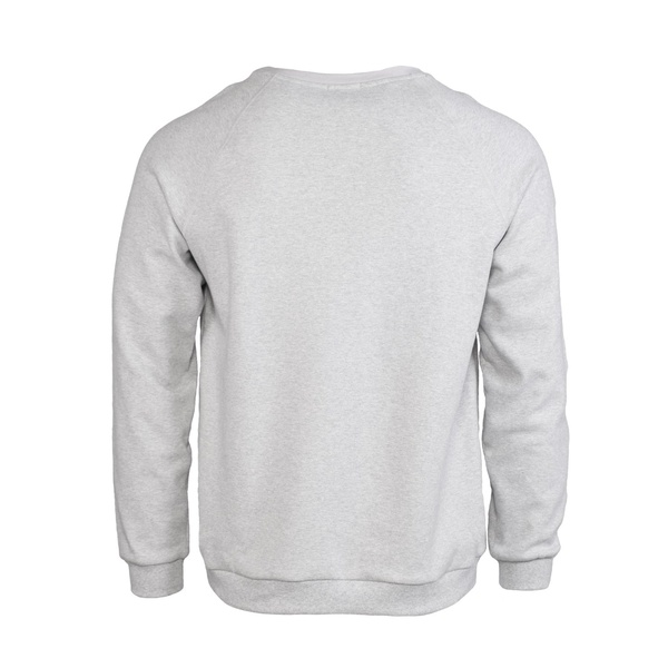 Свитшот FHM Wave TH светло-серый