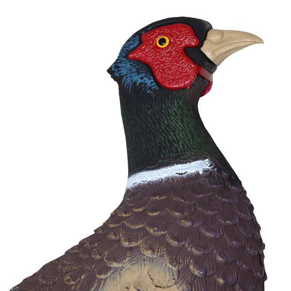 Муляж фазана Sport Plast 9885