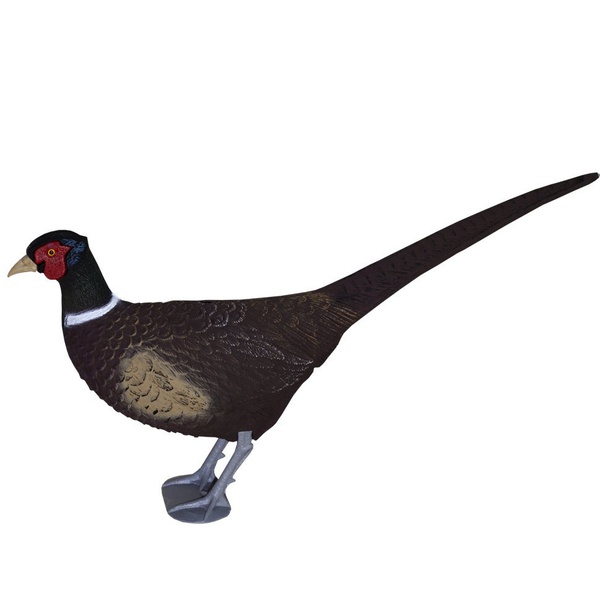 Муляж фазана Sport Plast 9885