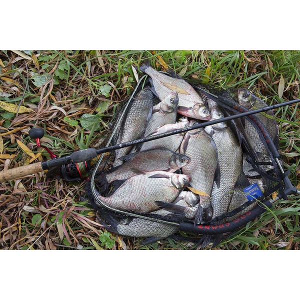 Удилище Волжанка Pro Sport Dumchev 3.3м (2секции+3) тест 40+г