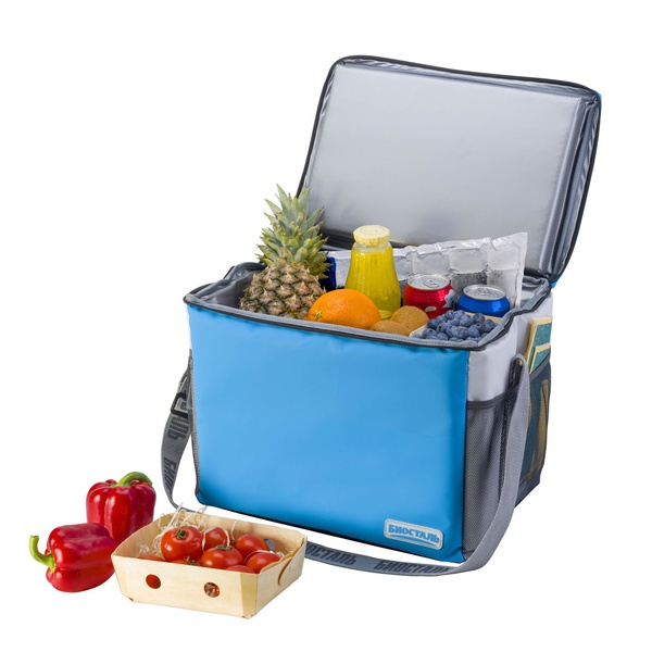 Термосумка Biostal Дискавери синий, 25 л