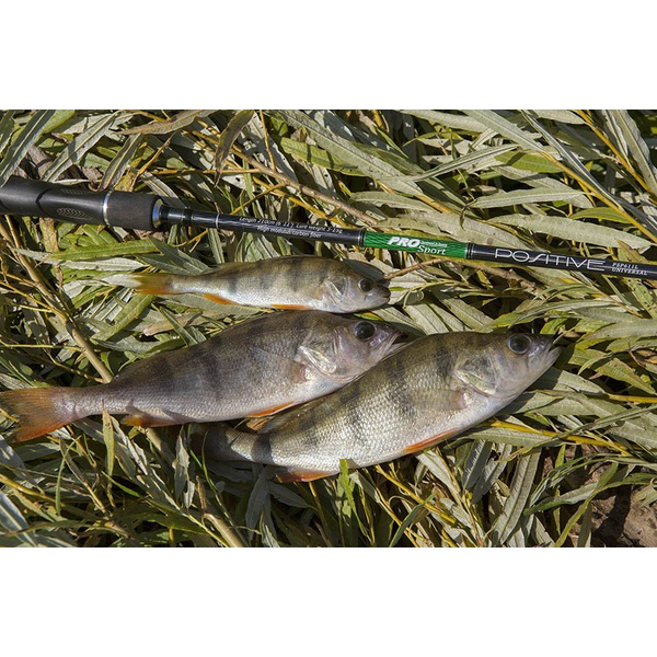 Спиннинг Волжанка Pro Sport Positive 1.9м, тест 2-8г