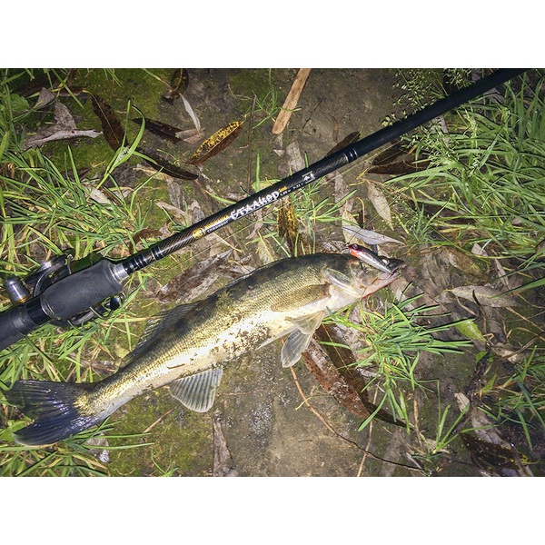 Спиннинг Волжанка Сталкер 2.7м, тест 7-32г