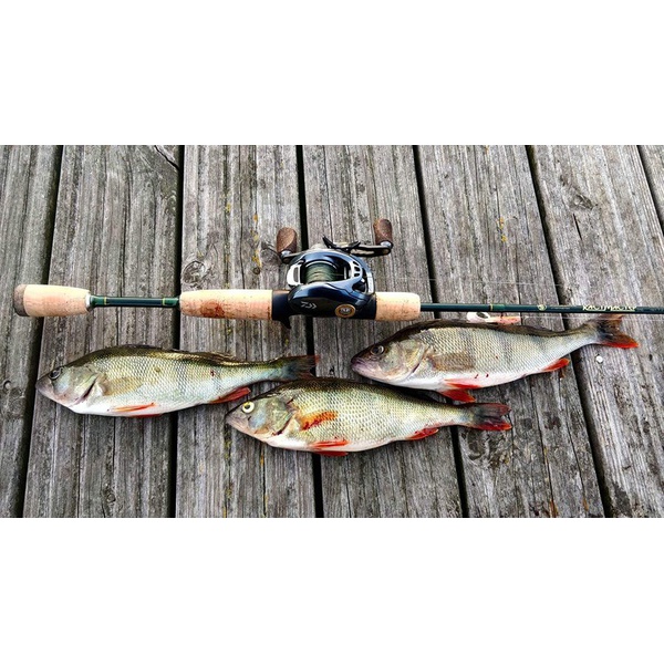 Спиннинг Волжанка Кастмастер 1.98м, тест 12-34г