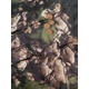 Спальный мешок Huntsman Аляска Лес, тк. Оксфорд, -15°С. Фото 4