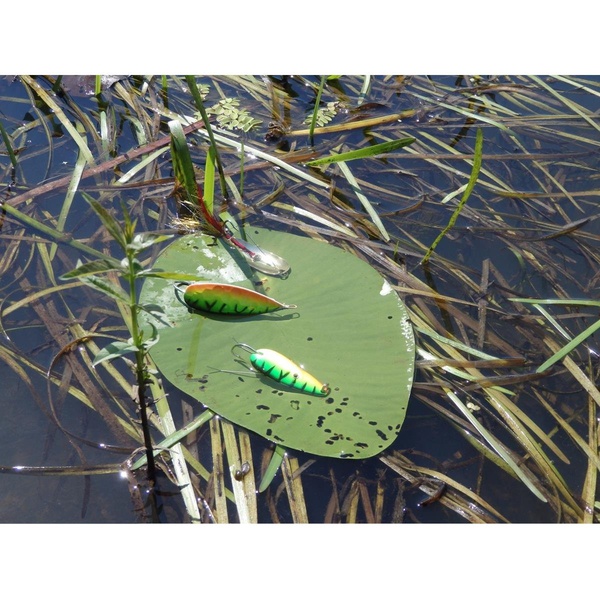 Блесна колеблющаяся Premier Fishing Whisker (№3/ 13 гр) Tiger