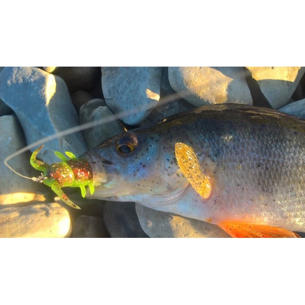 Виброхвосты съедобные Lucky John Pro Series Alien Bug 1,5" (3.8см) 10шт T48