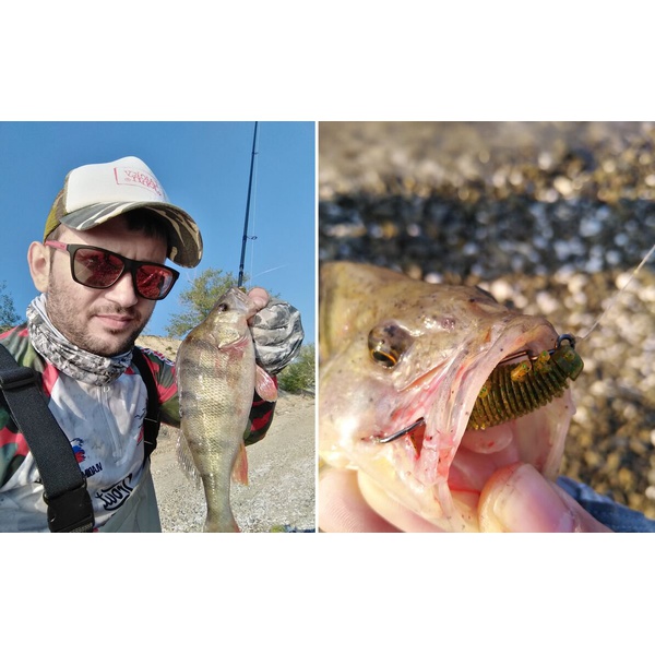 Виброхвосты съедобные Lucky John Pro Series Insector 2.8" (7см) 8 шт PA03