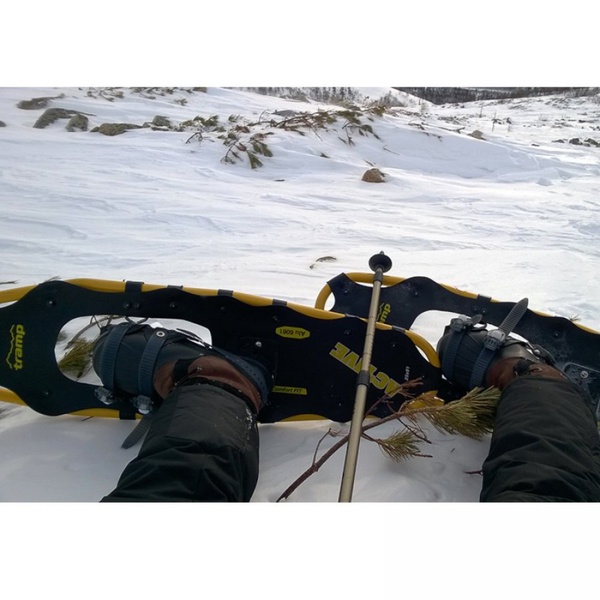 Снегоступы Tramp Active XL (25х91 см)