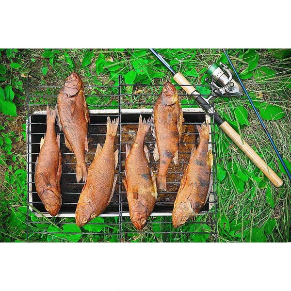 Коптильня Инвент Универсал двухъярусная 480x280x270 сталь 1 мм