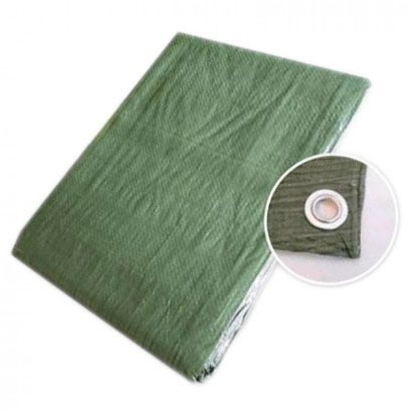 Тент Tramp Lite TLTP-001 (терпаулинг, зелен.) 2х3 м