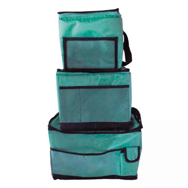 Термосумка Tramp Totem 10 л