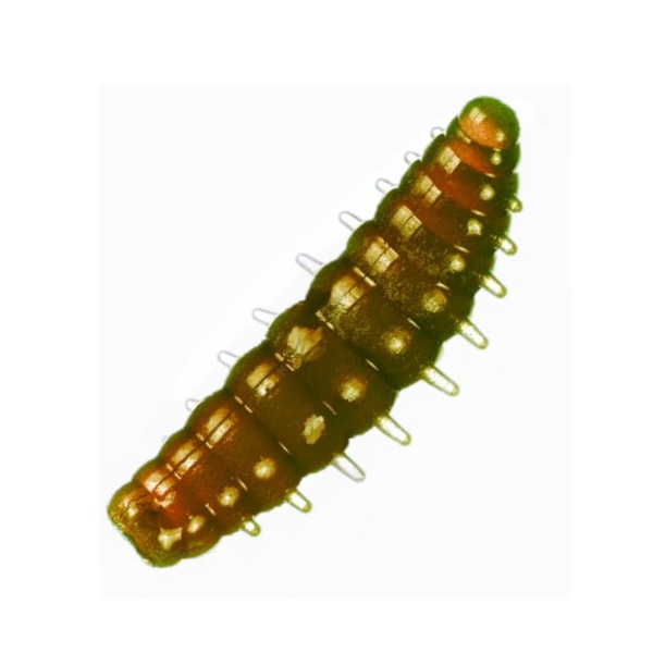Приманка Dunaev DT Noa Larva (402) пеллетс, 40 мм, 6 шт.