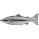 Фляжка Адвентурика Рыба Y-18 (0,5 л). Фото 2