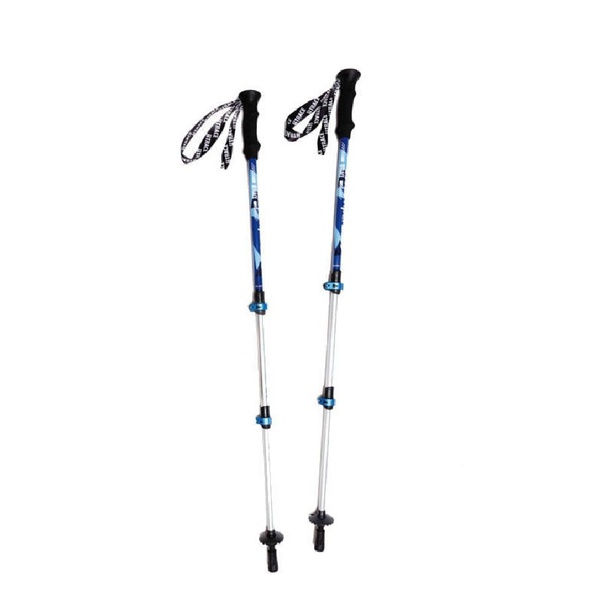 Палки треккинговые BTrace Viper