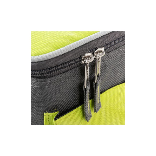 Изотермическая сумка-холодильник Helios (10L)