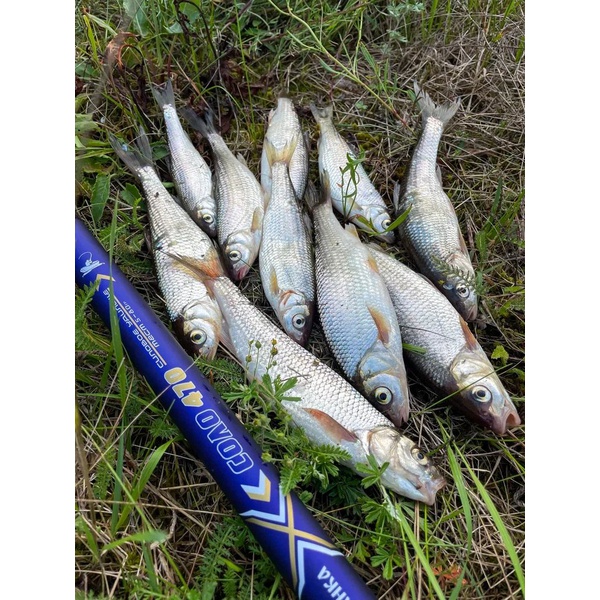 Удилище с/к Волжанка Соло (тест 5-80гр) 3.6м