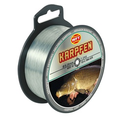 Леска монофильная WFT Zielfisch Karpfen 400/028