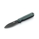 Нож складной Firebird by Ganzo FH922PT D2 Steel зеленый. Фото 1