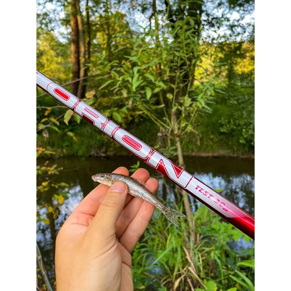 Удилище маховое Волжанка Орион (без колец) 5 м