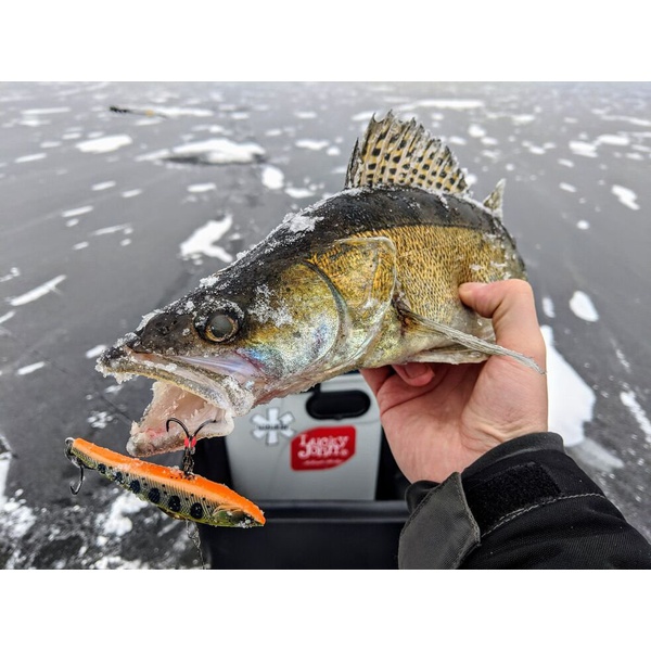 Воблер Lucky John Pro Series Basara Vib S 8см 137