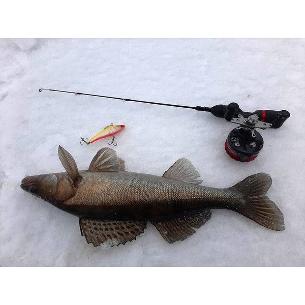 Воблер Lucky John Pro Series Basara Vib S 8см 311