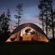 Палатка Naturehike Yunchuan-Pro Ultra-Light 4 Seasons CNK2300ZP024 коричневый, 3-местная. Фото 2