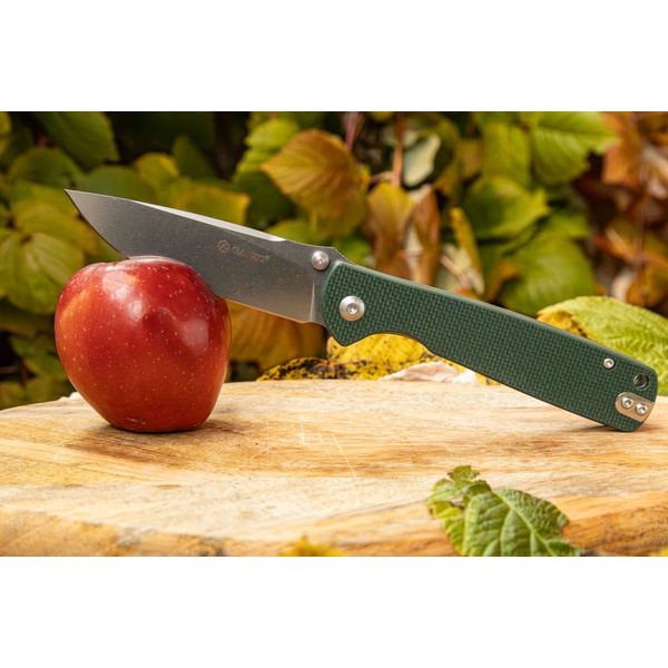 Нож складной Ganzo G6805 (сталь 8CR14) зеленый