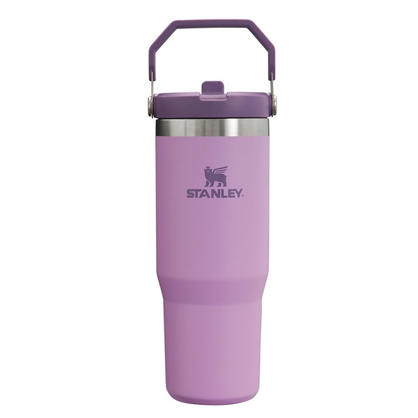 Термокружка Stanley IceFlow Flip Straw Tumbler 0,89 л фиолетовый