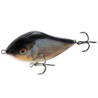 Воблер Salmo Slider F RR, 10 см