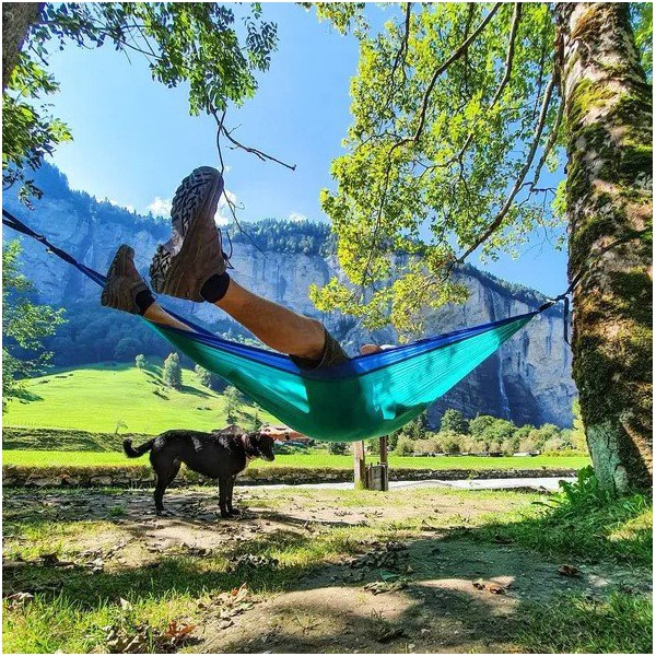 Ботинки Haix Black Eagle Nature GTX Low